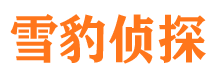 樟树市调查公司